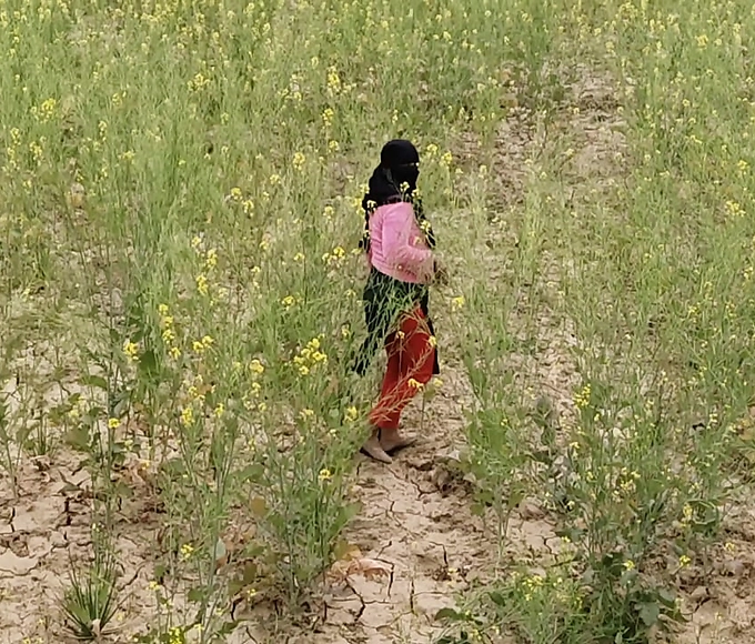 Japanese Schoolgirl Gets Luscious Lessons from Her Enchantress Teacher and Cuckolded Student