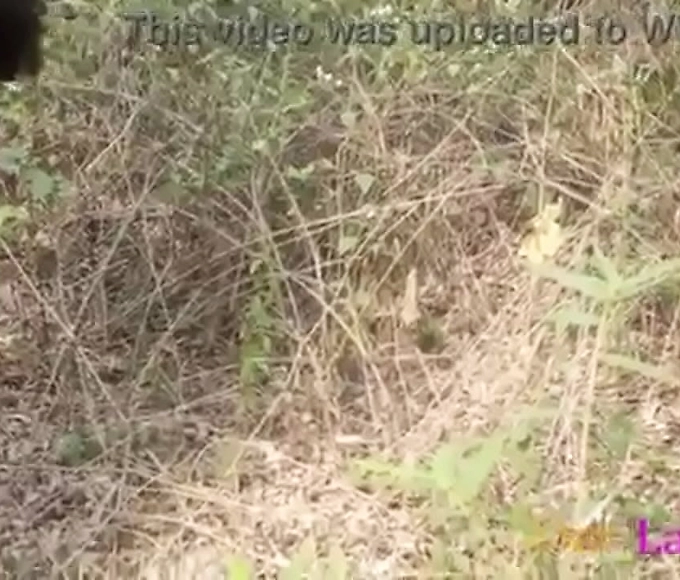 Japanese chick gets her pussy rammed, toyed and creampied