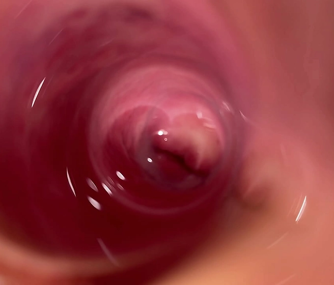 Chubby japanese MILF got stuffed in her hairy pussy to the limit