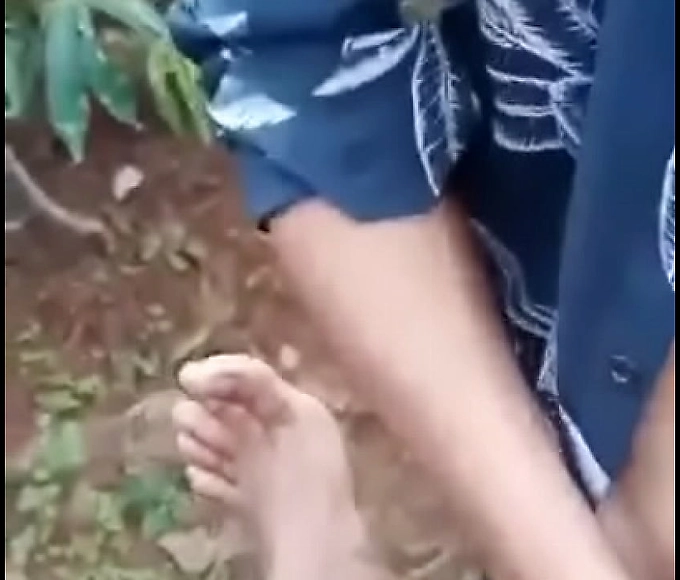Indo